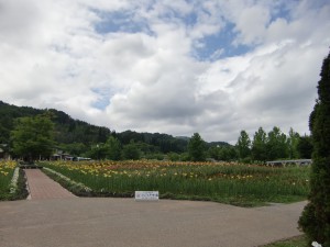 CIMG2347