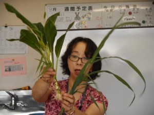 植木鉢①