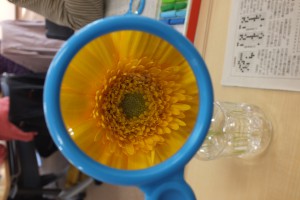 DSCF0841