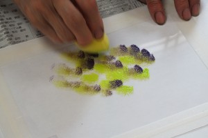 DSCF7781