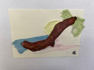 IMG_0041
