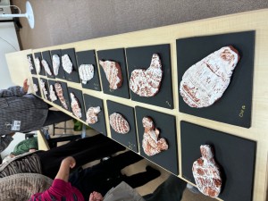 IMG_5900
